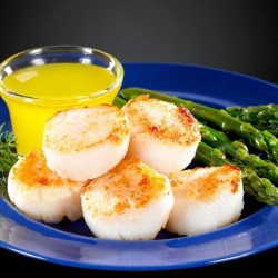 Scallops -Wild Canadian 10/20   Scallops -Wild Canadian 10/20