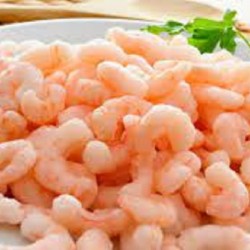 Matane Shrimp